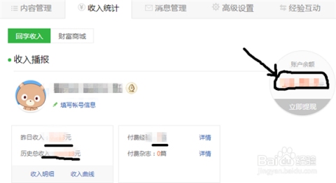 百度经验大神的日收入揭秘插图 百度经验大神的日收入揭秘插图