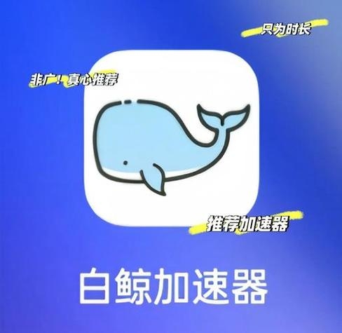 白鲸加速器的作用与效益插图