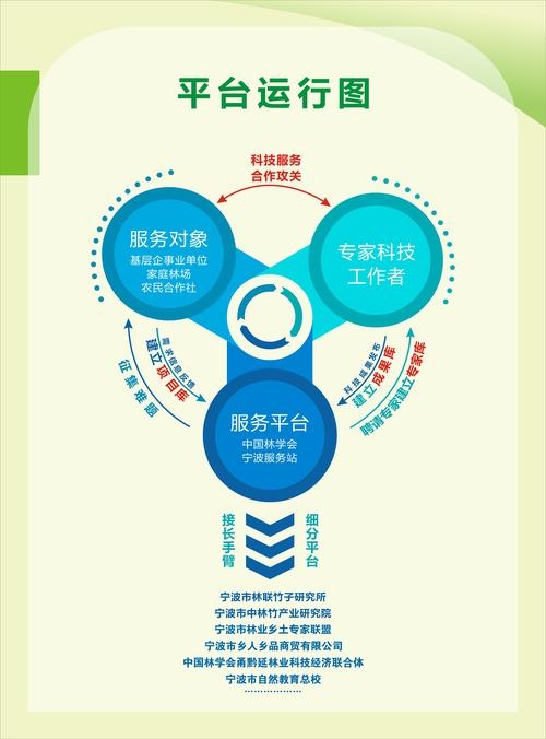 北仑之窗网站愿景及个体工商户发展概况解析，多功能的对外宣传平台与个体经济活力观察。插图