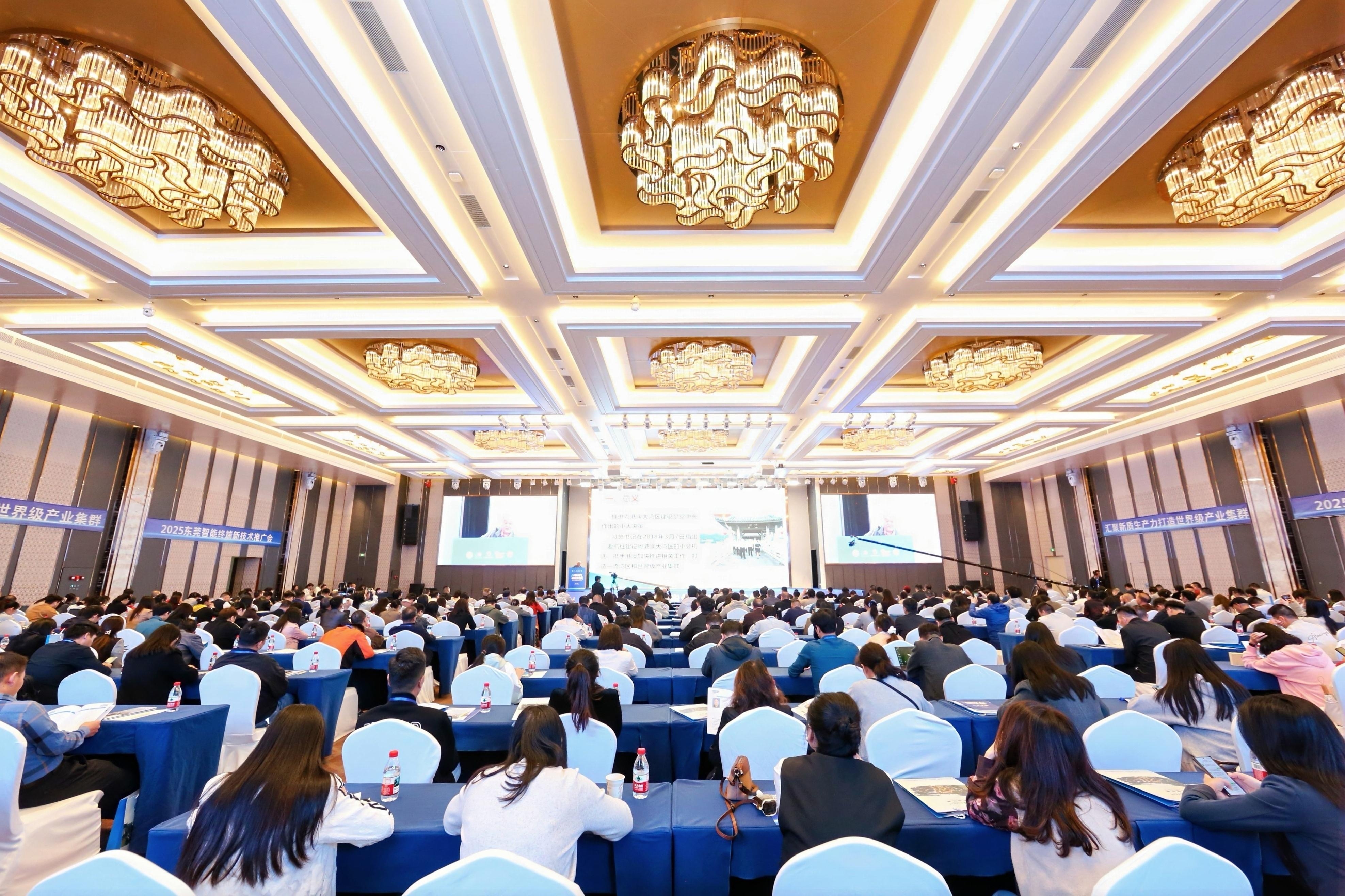 东莞网页设计，创新与实用的完美结合插图