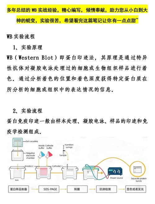 大学VB实验教程入门攻略插图
