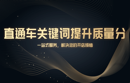 东莞专业关键词排名优化与搜索推广培训，直通车实战技巧分享，都市领航电商培训机构推荐插图