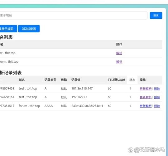 二级域名解析与信息查询方法插图