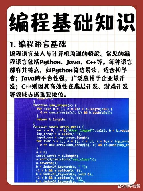 二、编程定义与基本内容插图 二、编程定义与基本内容插图