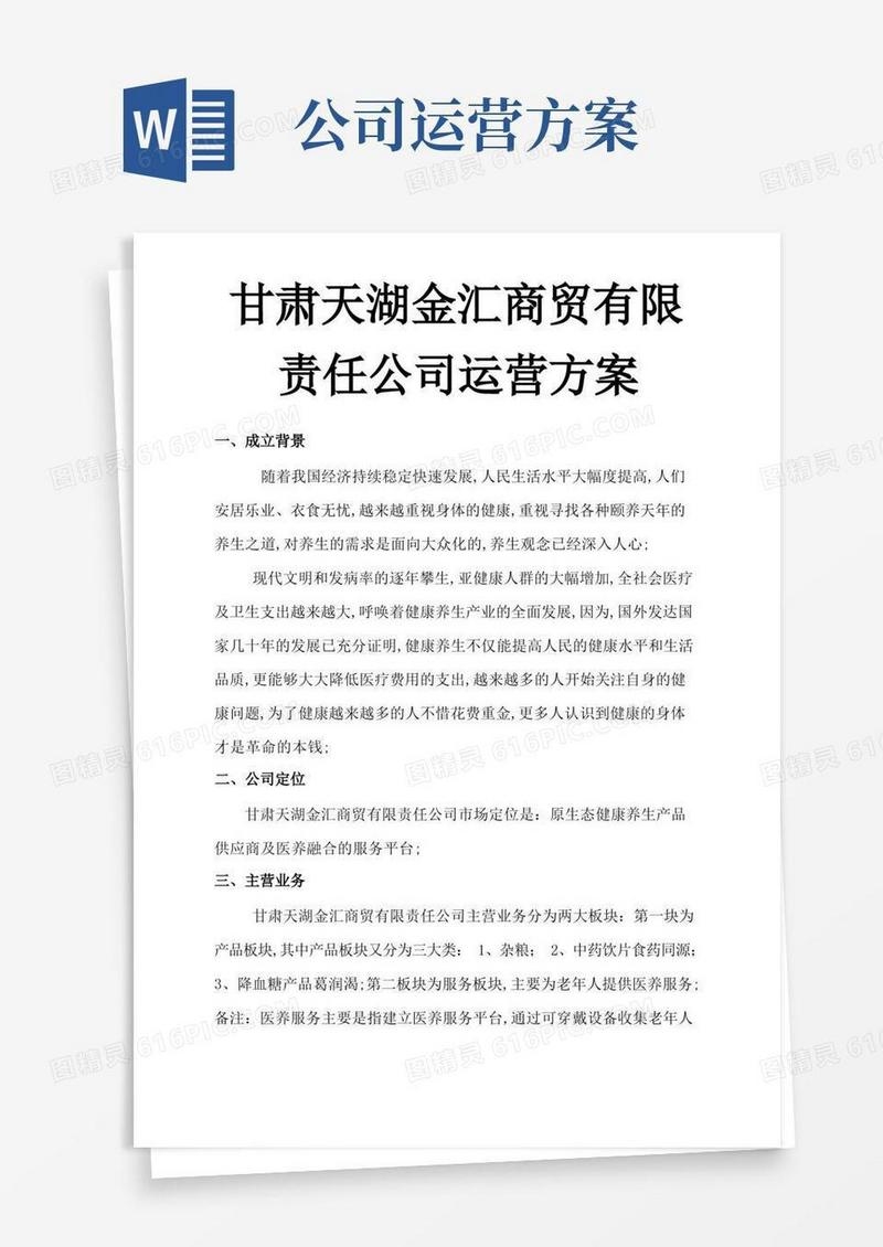 公司运营规划方案插图