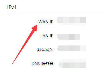公网IP检测方法插图 公网IP检测方法插图