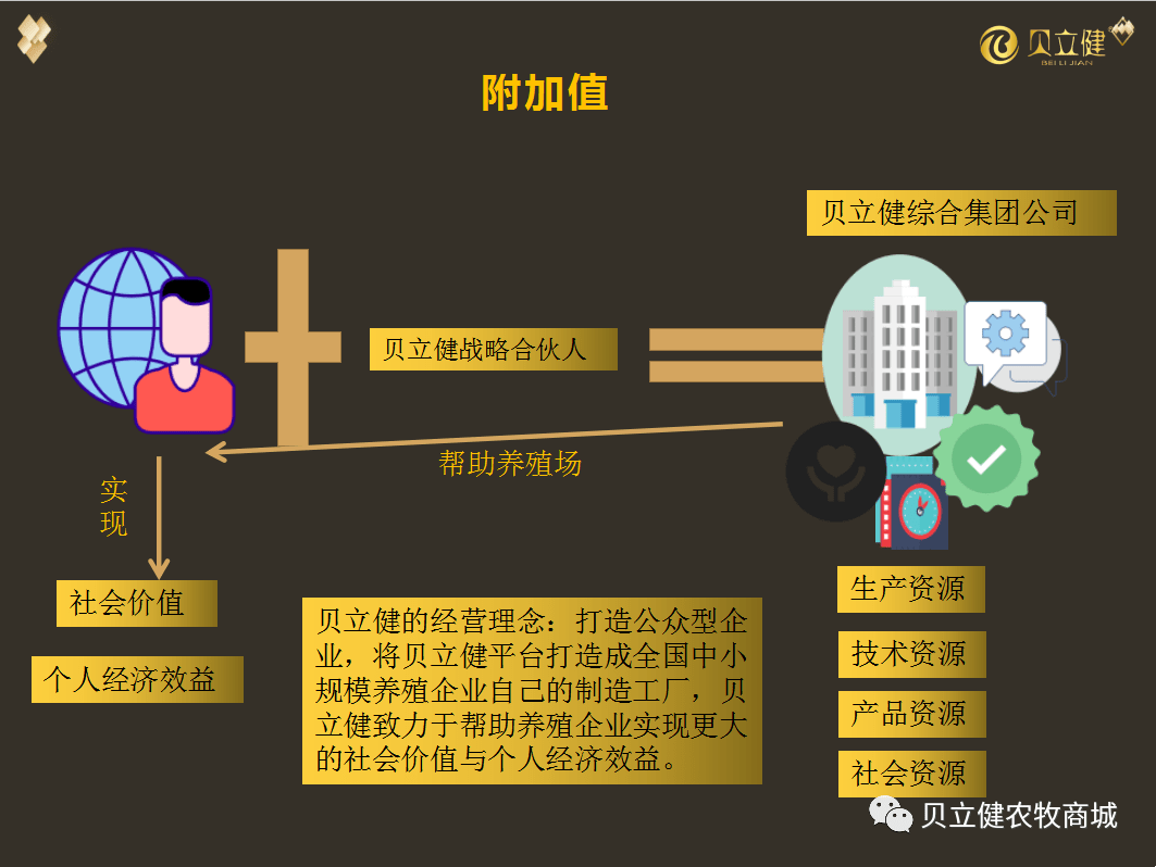 互联网创业项目详细说明插图