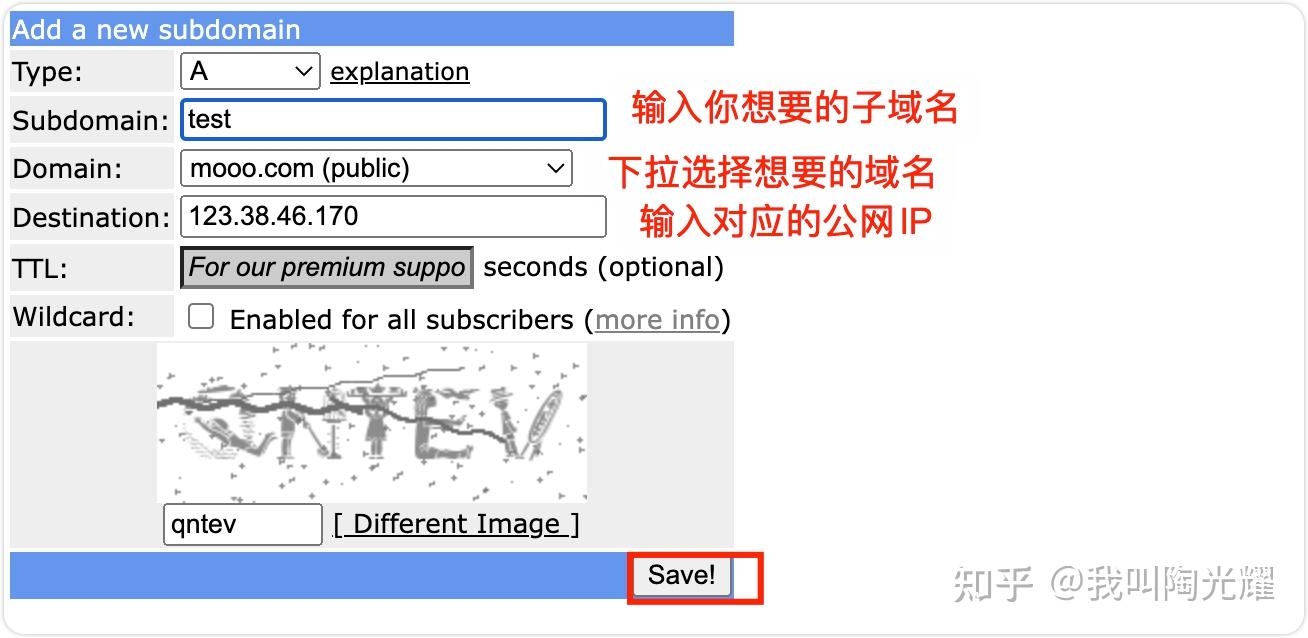 海外猫咪域名注册及使用指南插图