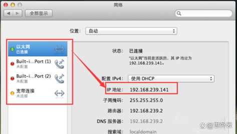 如何通过ipconfig查看MAC地址插图