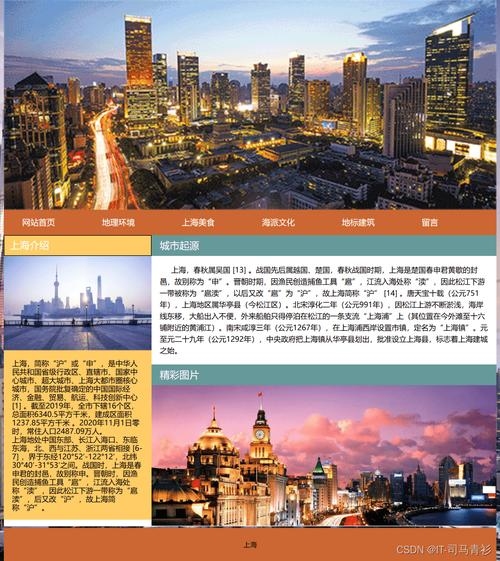 上海做网站的公司概览插图