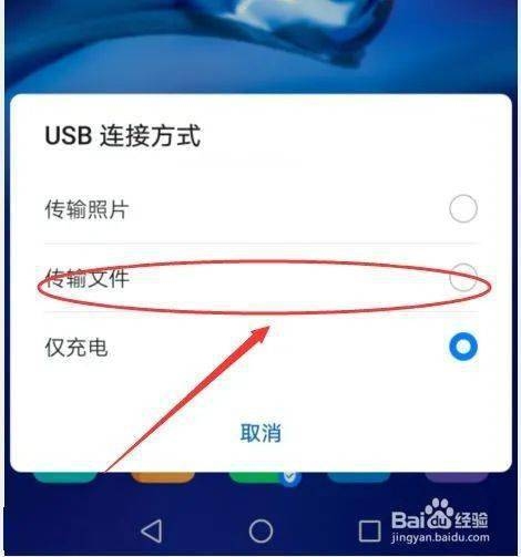 手机如何连接并操作VPS软件？插图