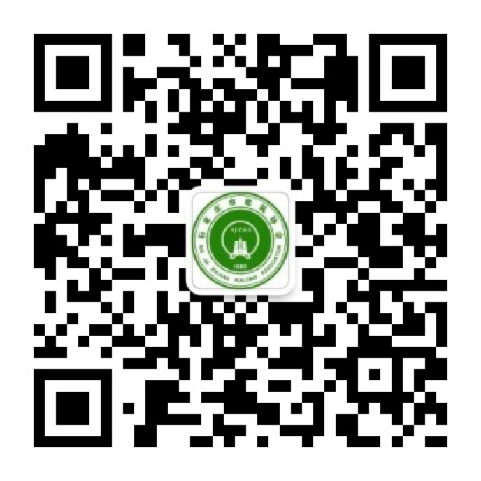 石家庄网站建设与优化服务插图