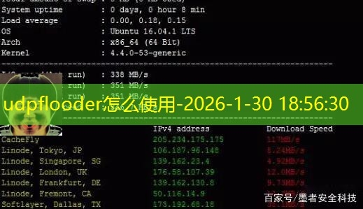 深入了解UDPFlooder,一种强大的网络测试工具插图 深入了解UDPFlooder,一种强大的网络测试工具插图