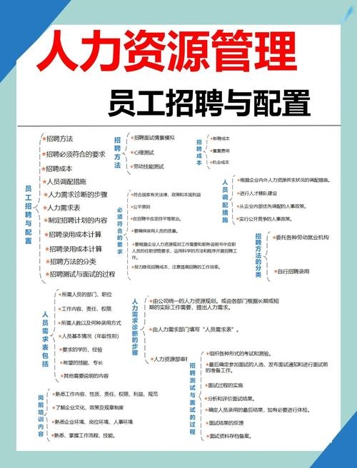 四川SEO专员招聘与职责概览，薪资、发展及学习资源插图