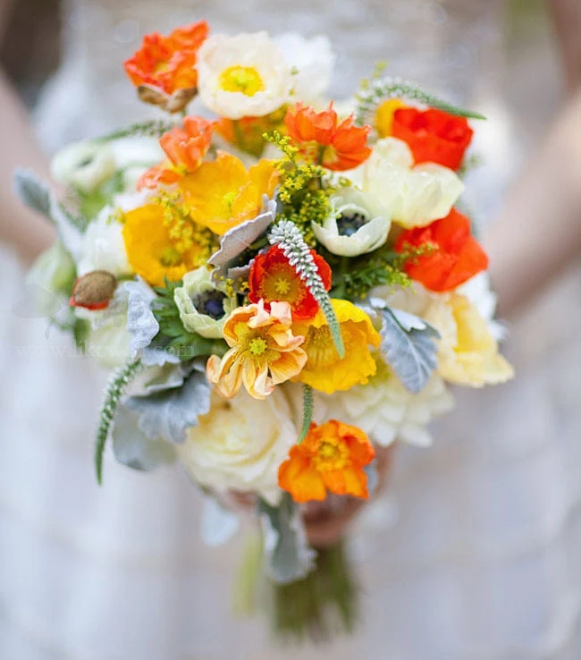 通过网站域名绽放的花朵插图