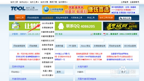 网页收录查询插图