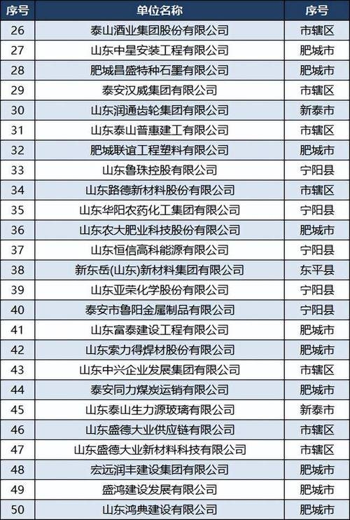 泰安网站优化公司排行插图
