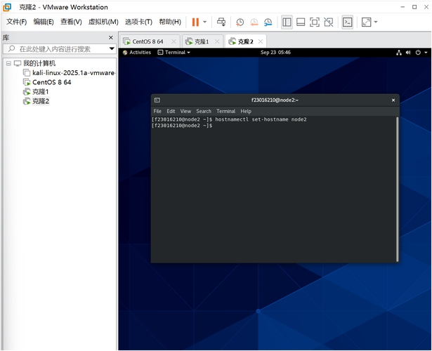 免费虚拟主机大全，如何选择及操作插图