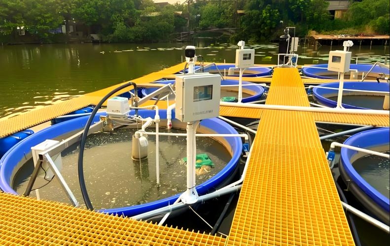 智能水产养殖系统插图