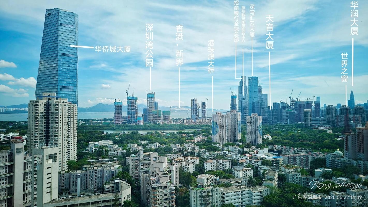 南山城网站建设，塑造城市新形象，推动数字经济发展插图