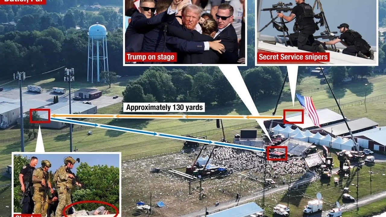 揭秘国外域名枪手，探索背后的故事插图