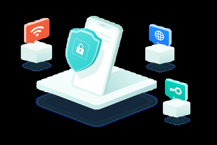 鲸鱼加速器网络安全检查与服务体验探讨插图