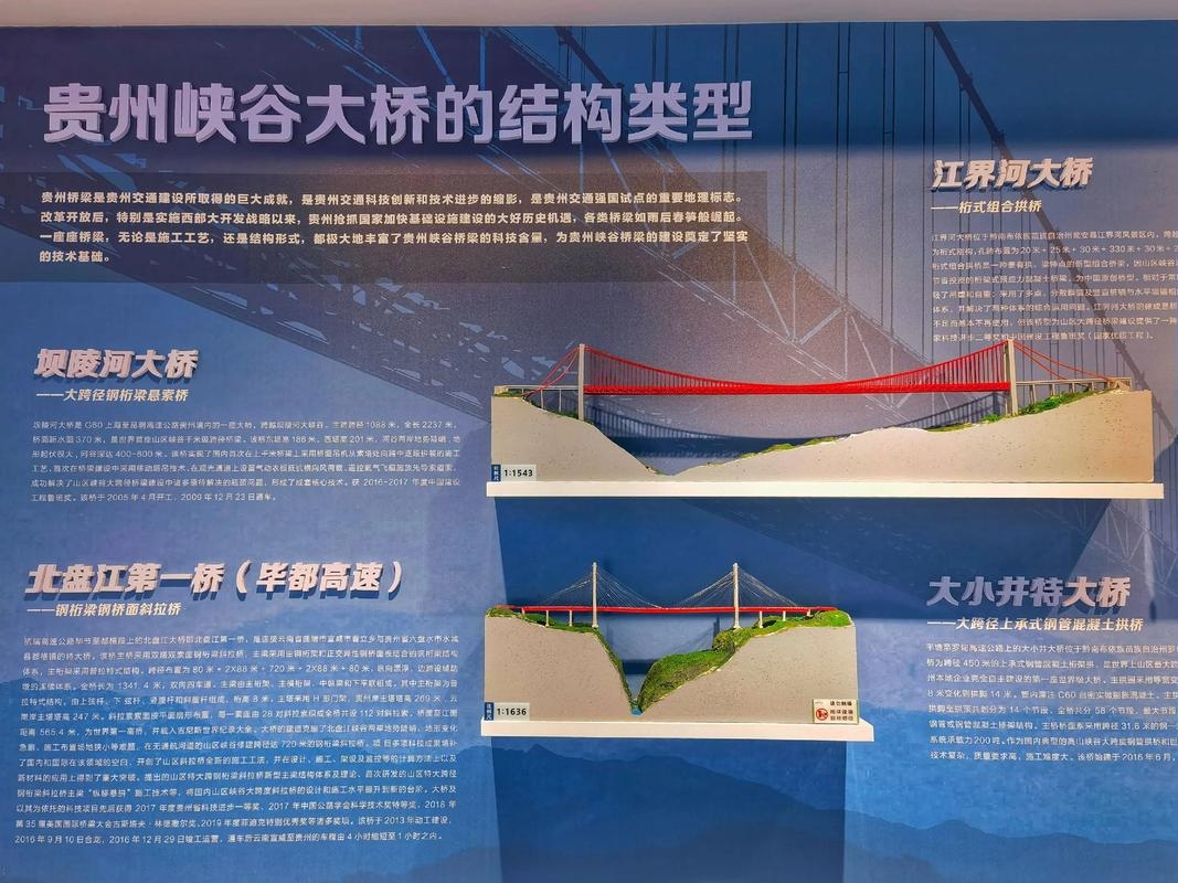 蜘蛛网工程造价官网,全面解析与高效服务的桥梁插图 蜘蛛网工程造价官网,全面解析与高效服务的桥梁插图