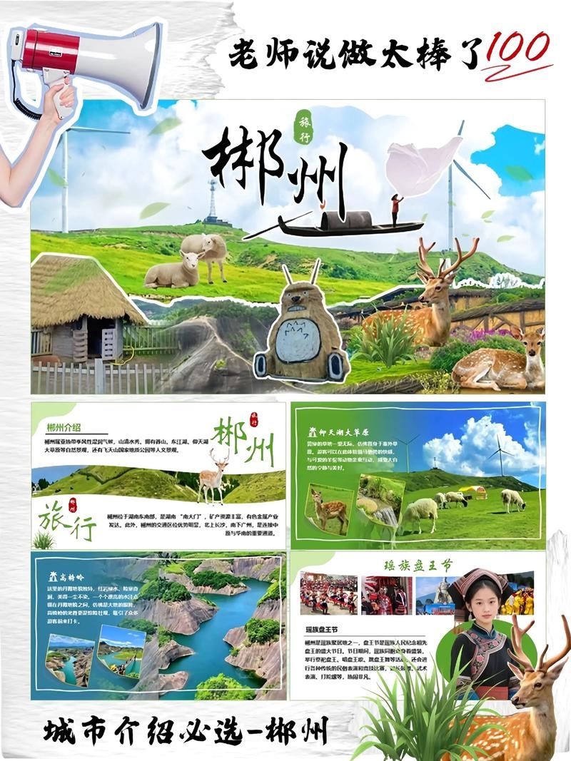 郴州网站建设与科技公司介绍及推广平台概览插图