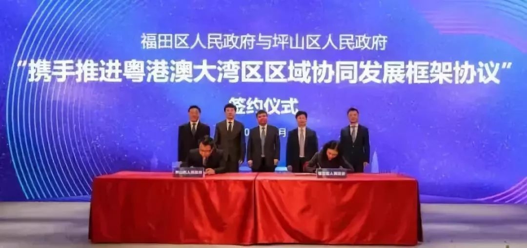 漳州网站建设与深圳追格的紧密合作插图