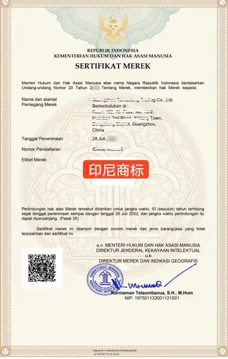 IN域名，印度国家代码的网站标识插图