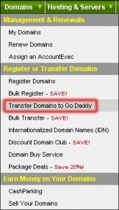 Godaddy域名过期删除,操作指南与注意事项插图 Godaddy域名过期删除,操作指南与注意事项插图