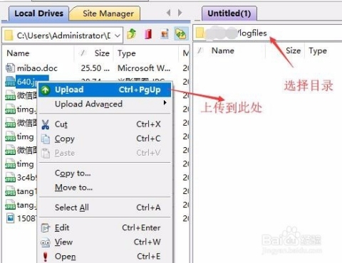 FTP软件，文件传输的利器插图