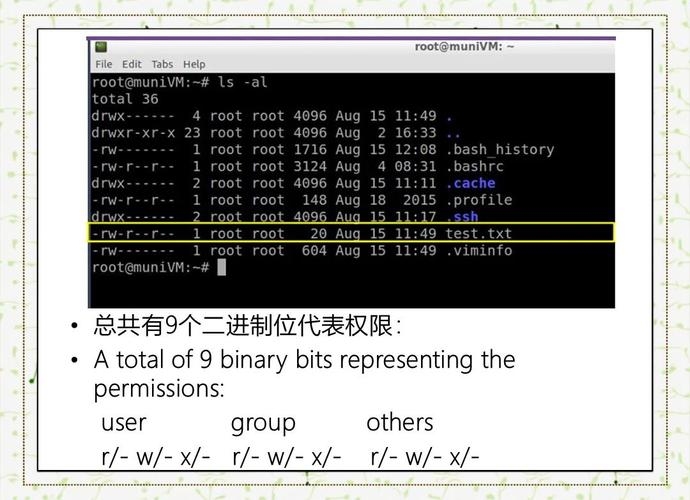 CentOS二进制文件执行与权限问题解析插图 CentOS二进制文件执行与权限问题解析插图