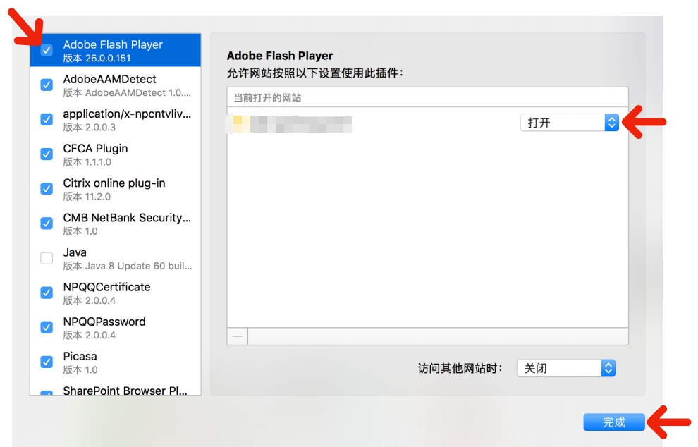 Flash插件在浏览器上的使用指南插图