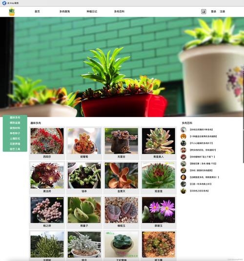 HTML网页制作盒子案例,打造精美网页界面插图 HTML网页制作盒子案例,打造精美网页界面插图