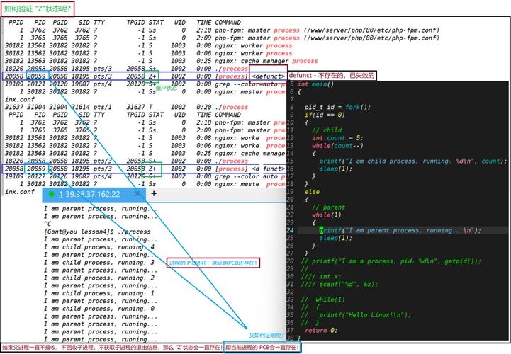 Linux查进程杀僵尸插图 Linux查进程杀僵尸插图