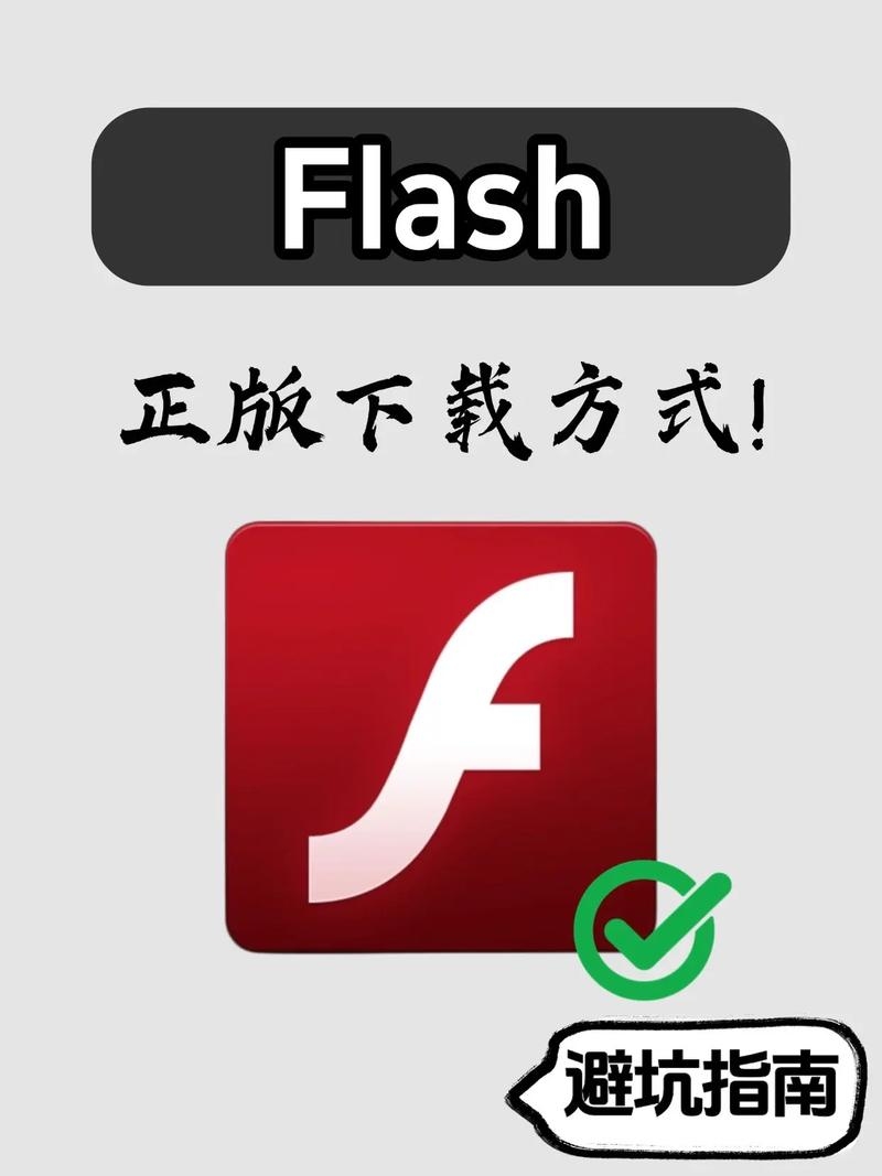 Flash插件与闪剪软件使用指南，下载、安装及启用步骤插图