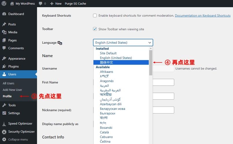 虚拟主机建双语网站指南,选择海外主机商与多语言插件设置插图 虚拟主机建双语网站指南,选择海外主机商与多语言插件设置插图