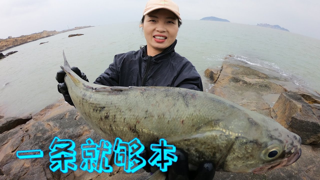 鲍鱼最新网名查询插图