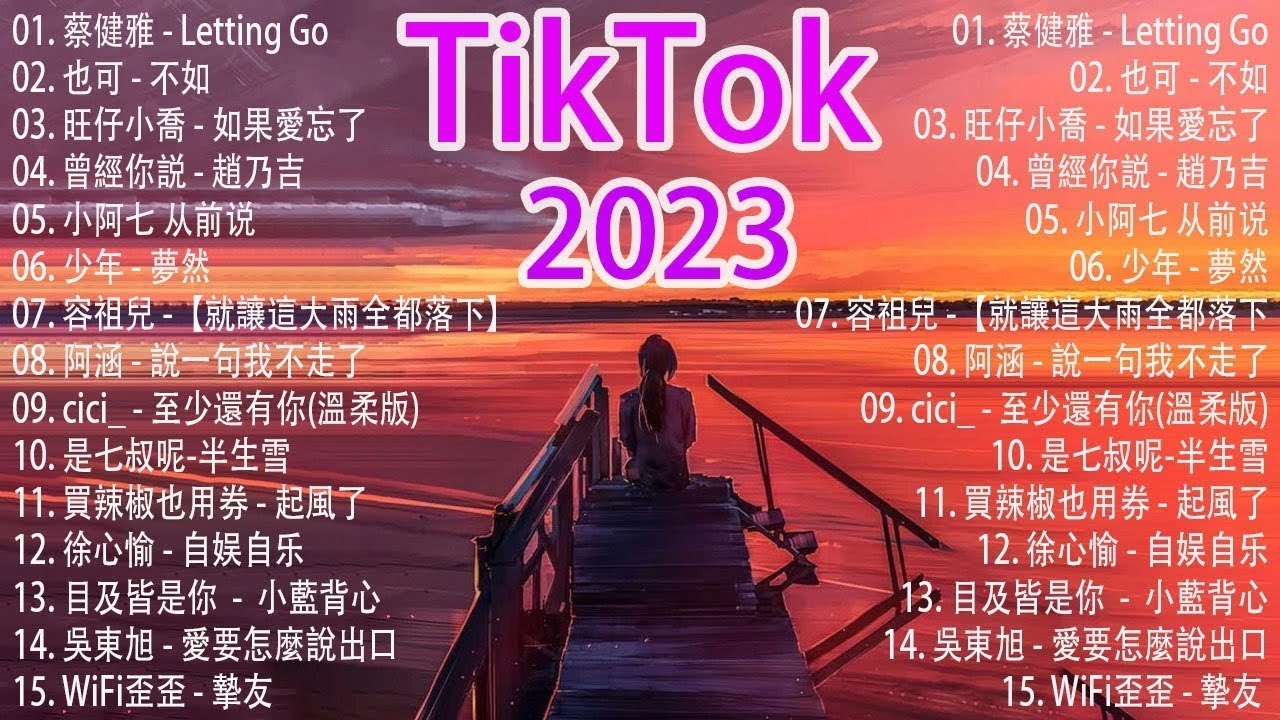 抖音热门歌曲探秘插图