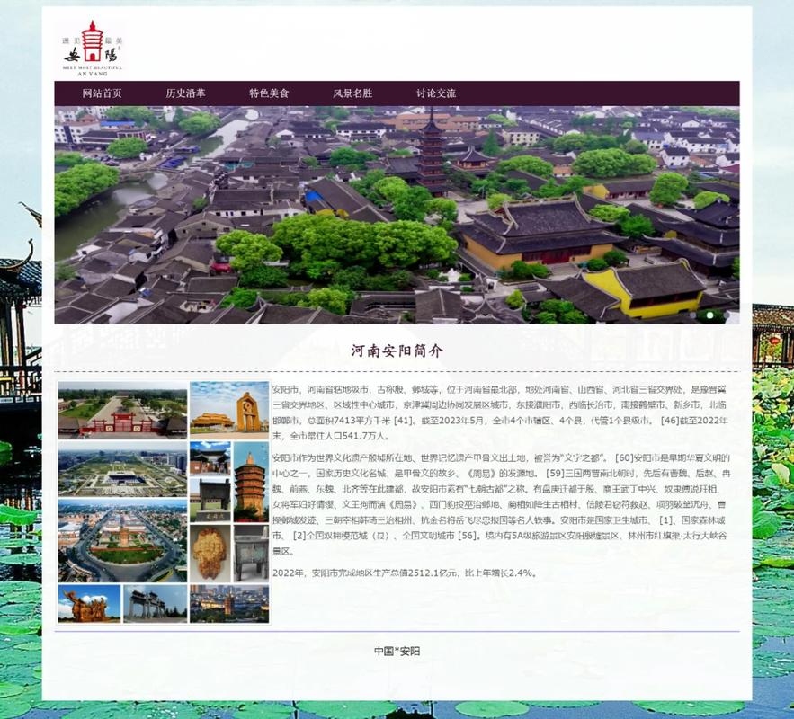 南阳网站设计，探索网站建设的未来插图