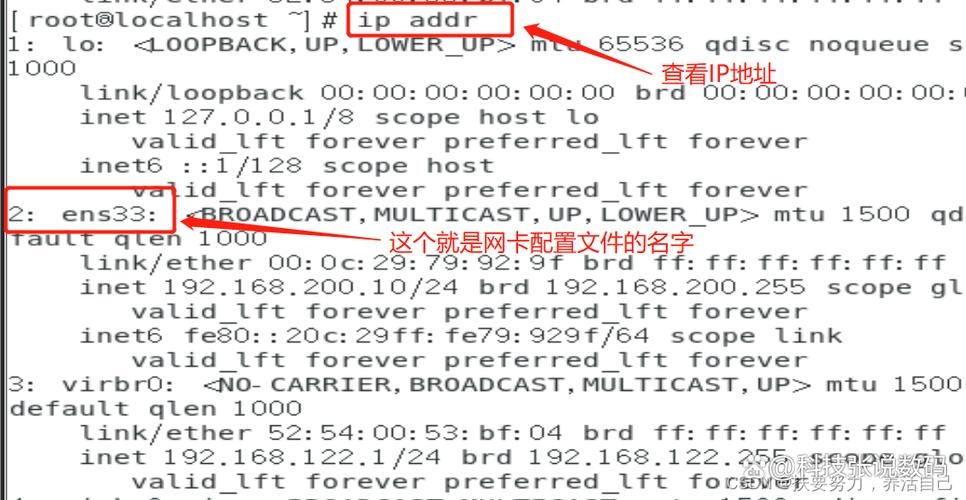 一台服务器如何设置多个IP地址插图