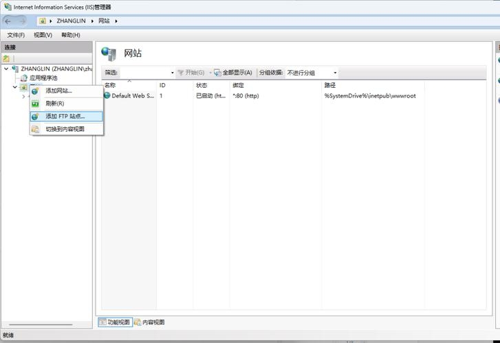 用IIS搭建网站插图