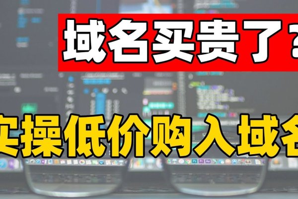 备案后转卖域名,一种投资与交易的双重策略-踏云行