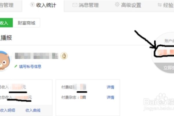 百度经验大神的日收入揭秘-踏云行