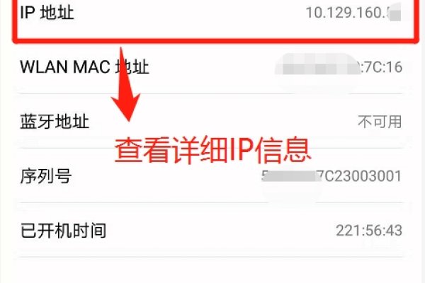 百度IP地址查询在校园网络中的应用-踏云行