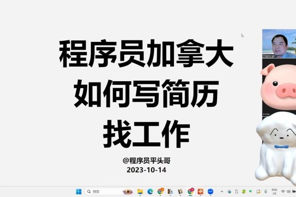 北京程序员求职攻略，如何高效投递简历并提升成功率-踏云行