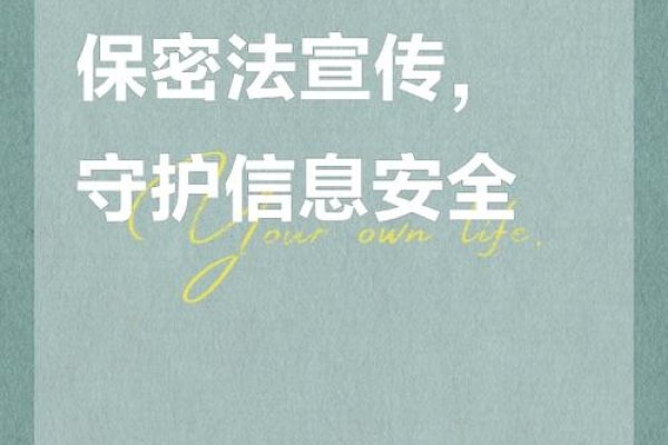 保护国家秘密，网站信息发布责任重大-踏云行