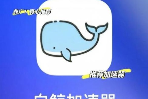 白鲸加速器的作用与效益-踏云行