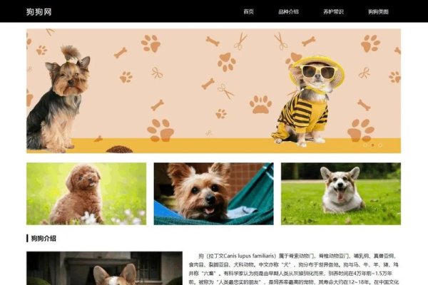 毕业设计，狗狗的网页代码之旅-踏云行